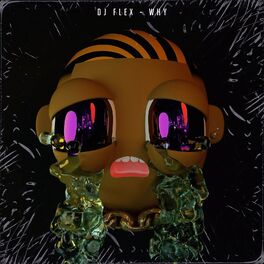 Album cover of Why