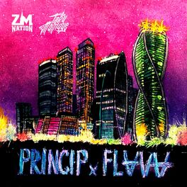 Album cover of Princip x Flava