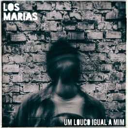 Album cover of Um Louco Igual a Mim