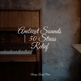 Album cover of Ambient Sounds | 50 Stress Relief