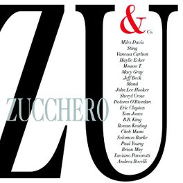 Album cover of ZU & Co.
