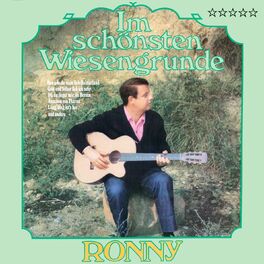 Album cover of Im schönsten Wiesengrunde