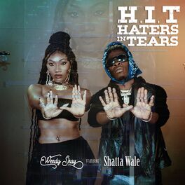 Album cover of H.I.T (Haters In Tears)