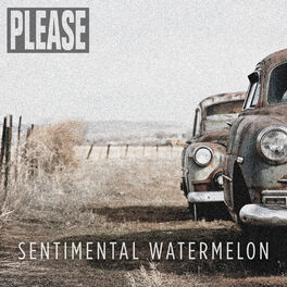 Album cover of Sentimental Watermelon