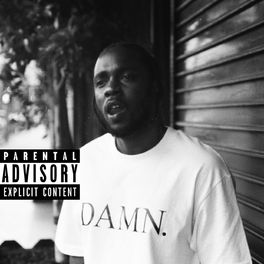 Album cover of DAMN. COLLECTORS EDITION.