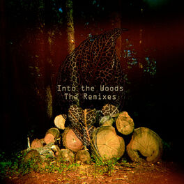 Album cover of Into The Woods - The Remixes