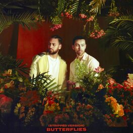 Album cover of Butterflies (Stripped Version)