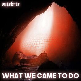 Album cover of What We Came To Do