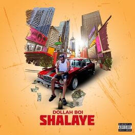 Album cover of Shalaye