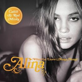Album cover of When You Leave (Numa Numa) [Remixes Part 2]