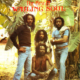 Album cover of The Best of the Wailing Souls