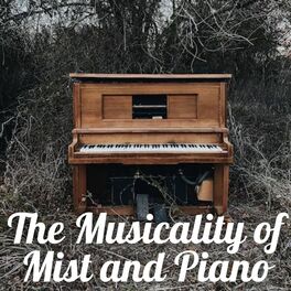 Album cover of The Musicality of Mist and Piano