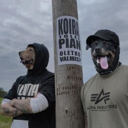 Album cover of Ei Haukku Haavaa Tee