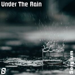 Album cover of Under The Rain