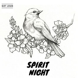 Album cover of Spirit Night