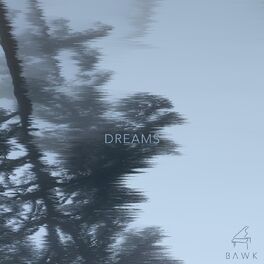 Album cover of Dreams