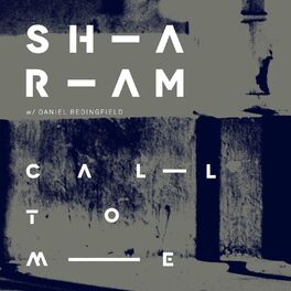 Album cover of Call to Me (Sharam's Crazi Dub)