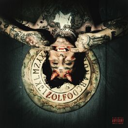 Album cover of ZOLFO