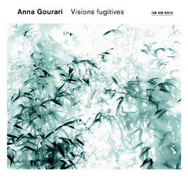 Album cover of Visions fugitives