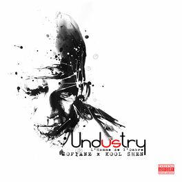 Album cover of Undustry