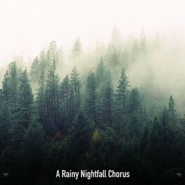 Album cover of !!!!