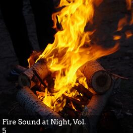 Album cover of Fire Sound at Night, Vol. 5
