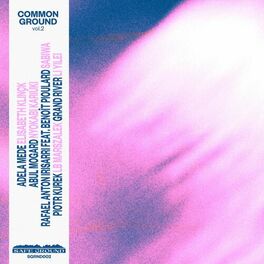 Album cover of Common Ground, Vol. 2