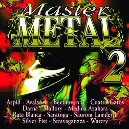 Album cover of Master Metal, Vol. 2