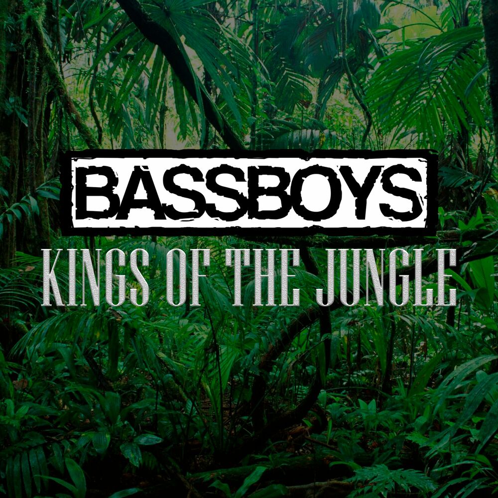 King of the Jungle. King of the Jungle текст. King of the Jungle на гитаре. Bassboy.