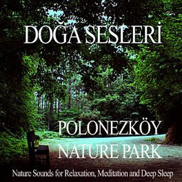 Album cover of Polonezkoy Nature Park - Nature Sounds for Relaxation ,Meditation and Deep Sleep