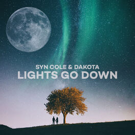 Album cover of Lights Go Down