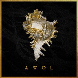 Album cover of Awol