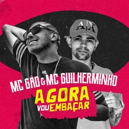 Album cover of Agora Vou Embaçar