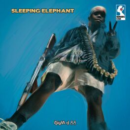 Album cover of Sleeping Elephant (Wake Up)