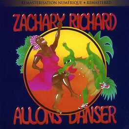 Album cover of Allons Danser