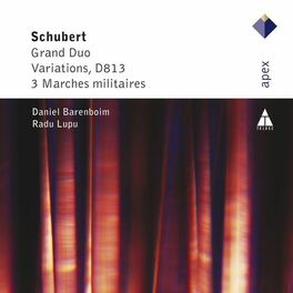 Album cover of Schubert: Grand Duo, D. 812, Variations, D. 813 & 3 Marches militaires, D. 733