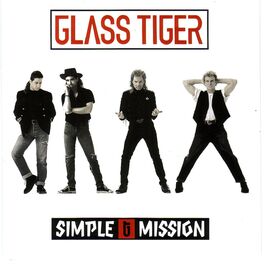 Album cover of Simple Mission