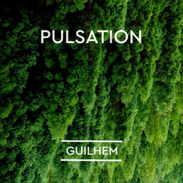 Album cover of Pulsation
