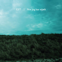 Album cover of Noe Jeg Har Stjælt