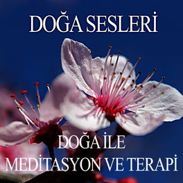 Album cover of Doğa ile Meditasyon ve Terapi