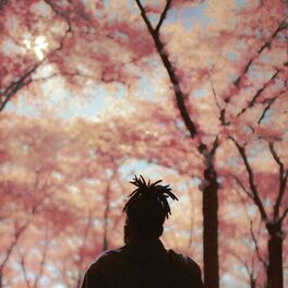 Album cover of But, I'm Tied