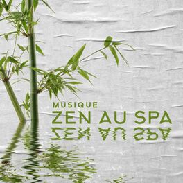 Album cover of Musique zen au spa: Fontaine à eau en bambou