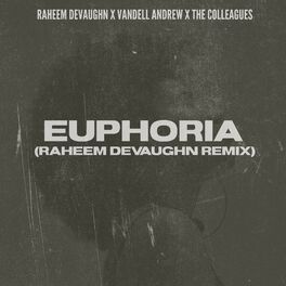 Album cover of Euphoria (Raheem DeVaughn remix)