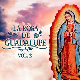 Album cover of La Rosa de Guadalupe Vol. 2
