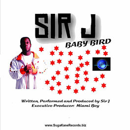 Album cover of Baby Bird