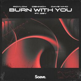 Album cover of Burn With You (feat. Zev)