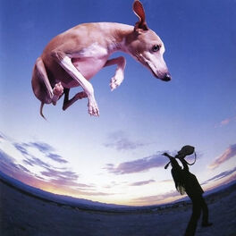 Album cover of Flying Dog