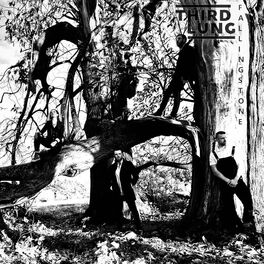 Album cover of Falling Stone