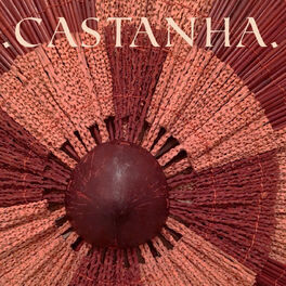 Album cover of .CASTANHA.