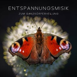 Album cover of Entspannungsmusik zum Ganzkörperheilung: Naturgeräusche zum einschlafen, Schlaflosigkeit heilen, Gesünder Schlaf, Geführte Einschl